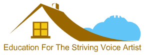 Voice At Home